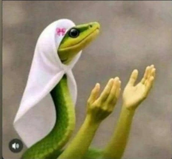 GemmieNicki's tweet photo. Oh Lord π€²πΎ If I ever switch up on Nicki Minaj take my life ππ½π€²πΎ
#StreamPinkFriday2 https://t.co/KNiRo8Rl91