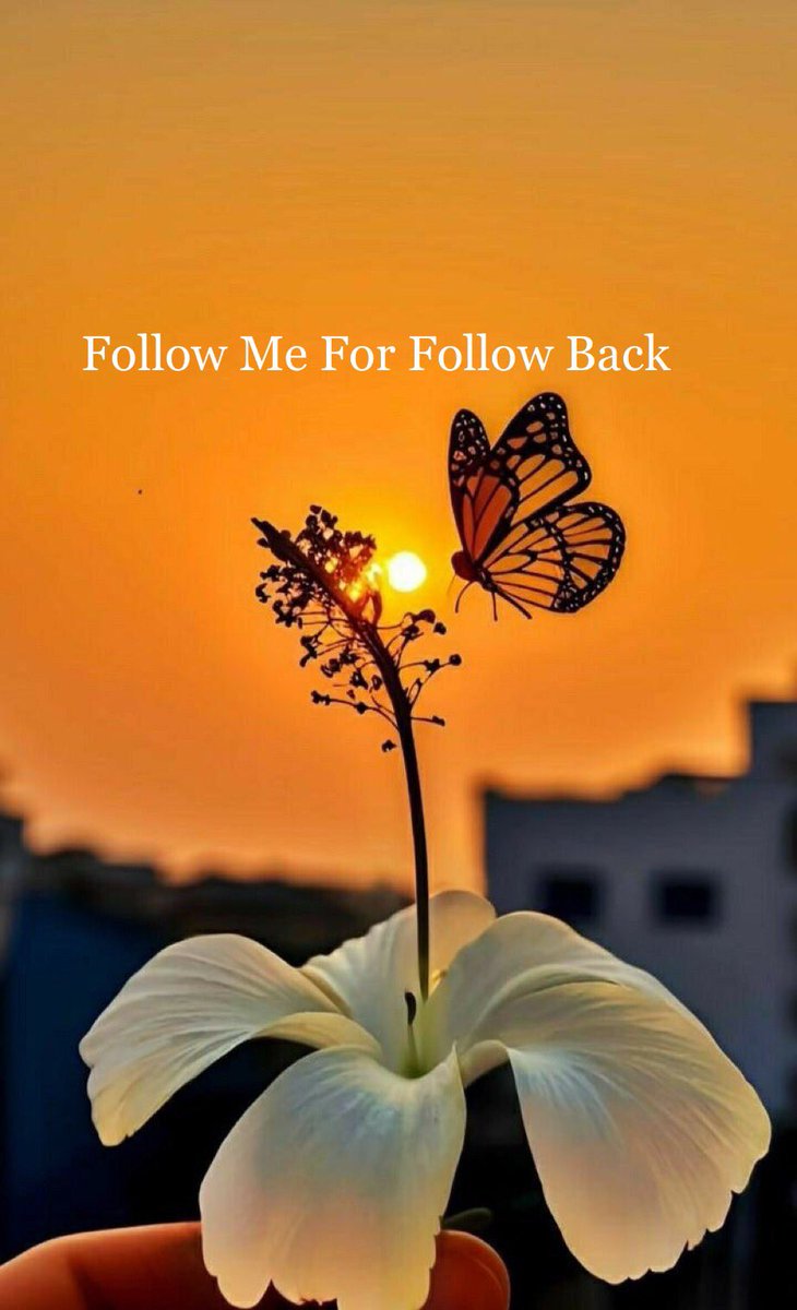 <a href="/alhsn8302/">خﮧآلﮧد آلﮧحﮧسﮧنﮧ</a> <a href="/AlmhndsMwdy/">المهندس خالد العمودي</a> <a href="/NaseemK37320487/">Naseem Khan 🇵🇰</a> <a href="/Rizk60358Rizk/">🇪🇬Yasser Rizk</a> <a href="/Khadijakhatta/">مصريه ..مهندسه..أعشق بلادي واغار عليها..،،khadija</a> @TomatskillO <a href="/alshmry68912/">عليا الشمري</a> <a href="/1qqmr/">𝓦𝓐𝓐𝓓</a> <a href="/2qmmr/">𝓦𝓪𝓻𝓭</a> <a href="/3jra9/">يسرى 💙الحساب للبيع💙</a> <a href="/drsurri1/">Dr Suri Shahab🕊️</a> <a href="/1_i_1i/">🔥🅰️ 🇩 🅰️ 🇲🔥</a> <a href="/7rrgr/">حروفٌ لها صوت</a> <a href="/8rrgr/">جنونــ المــشـا؏ر❤️‍🔥</a> <a href="/9rrgr/">لهــيب المــشـا؏ر 🇵🇸</a> <a href="/54J50/">ام شروق زواج مسيار بسر</a> <a href="/2027w6/">⚖️ ℳ𝖏𝕶𝒜 ميٰرا</a> <a href="/12ZZZ22/">دختور🔥🔥</a> <a href="/Aazma30/">Aazma 🇮🇳 آعظمہ</a> <a href="/Y_a_f_a_Y/">Al Yafei</a> <a href="/FAlebi79/">هيمان الإبي</a> <a href="/HVM__80/">tinerci JK</a> <a href="/sungelin/">Sarı gelin</a> <a href="/topnet001/">Jay Jay</a> <a href="/m1g2a3j/">وزيرة $السعادة #زيادة_متابعين 10k</a> <a href="/mIIraGaza/">⁦⁦mIraGaza </a> تحياتي وتقديري اخي خالد ،، افخم دعم ربي يسعدك 
<a href="/alhsn8302/">خﮧآلﮧد آلﮧحﮧسﮧنﮧ</a> 
<a href="/alhsn8302/">خﮧآلﮧد آلﮧحﮧسﮧنﮧ</a> 
<a href="/alhsn8302/">خﮧآلﮧد آلﮧحﮧسﮧنﮧ</a>