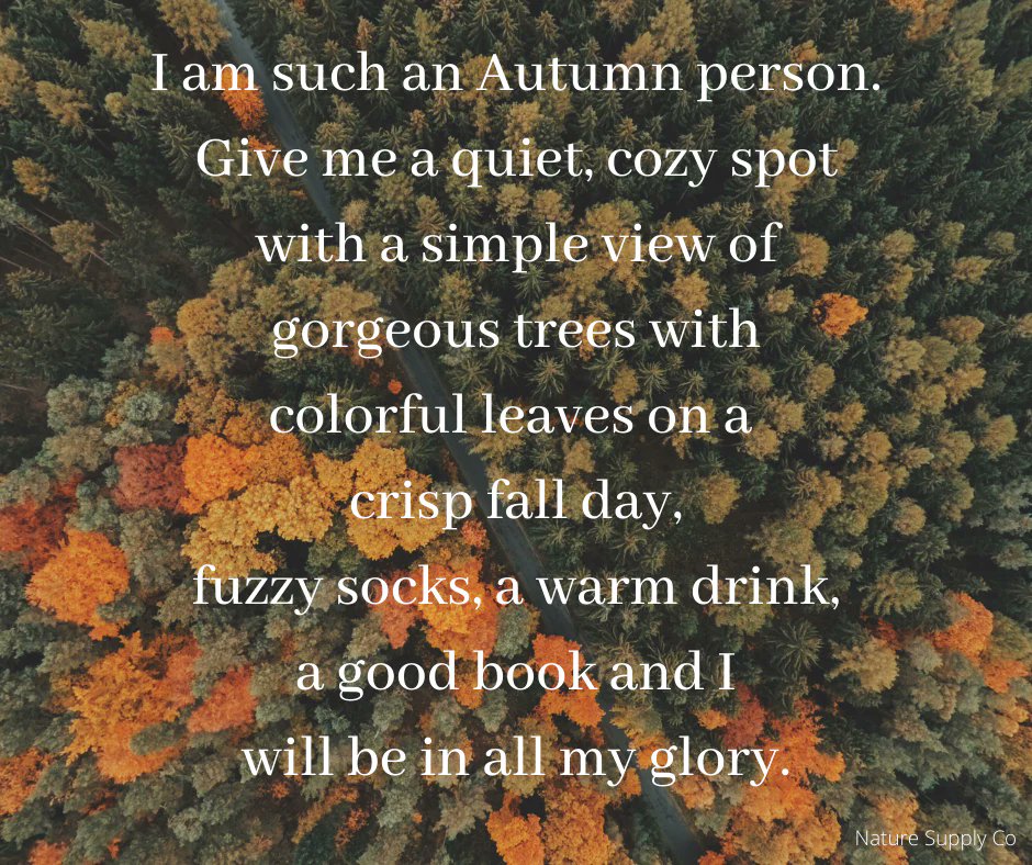 𝕯𝖊 𝕭𝖔𝖒𝖊𝖓𝖈𝖑𝖚𝖇 (@bomenclubnl) on Twitter photo 