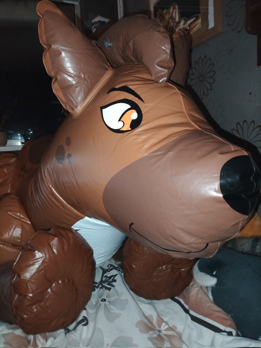 Woof!
Had the Horseplay yeen out for almost a month when I was spending time with my boyfriend, so I decided to inflate the IW one when I came back 
#pooltoys #squeaks #inflatable