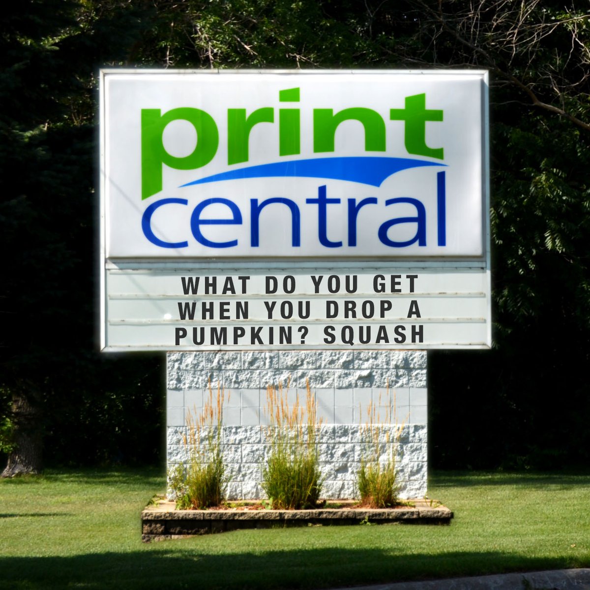 PrintCentralMN's tweet image. "What do you get when you drop a pumpkin? Squash"
#funnysigns #puns #HappyFall