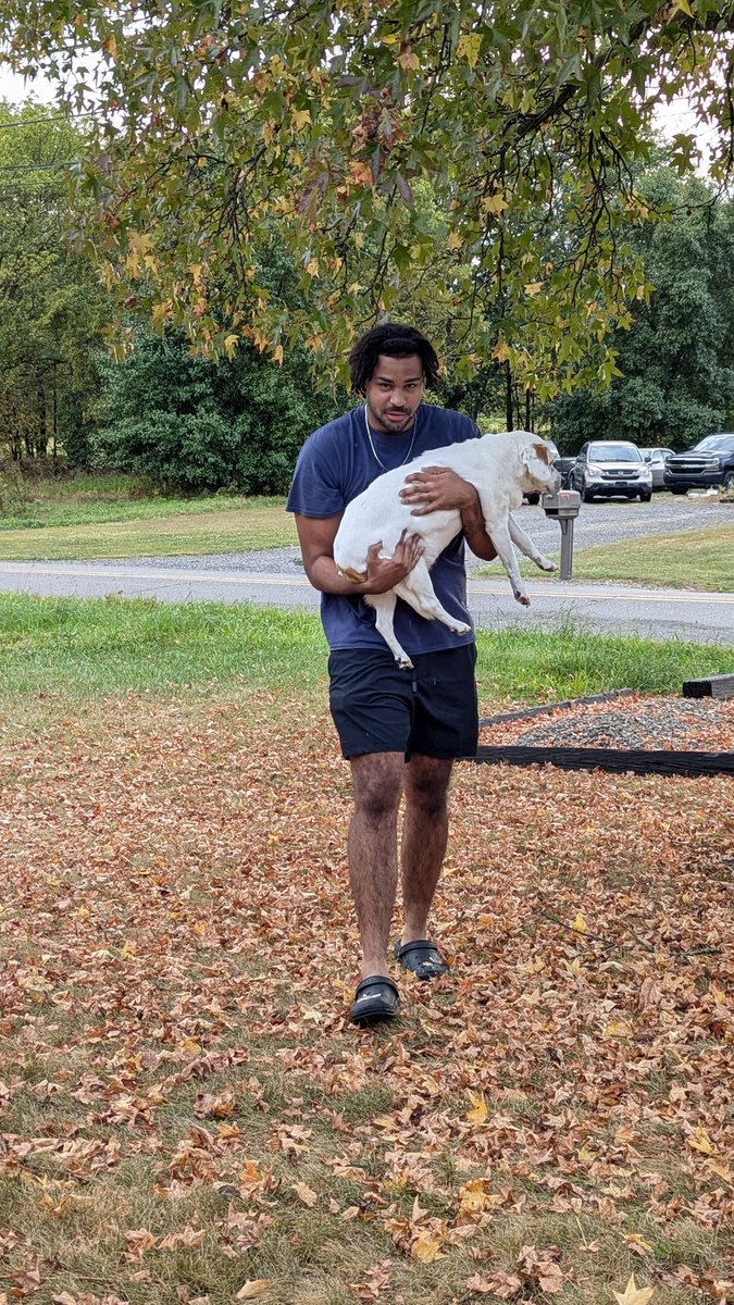 J63Lowe's tweet photo. R.I.H. my sweet Ally girl. We will miss you! 💜🤍🩷 https://t.co/Cphw6BSstt