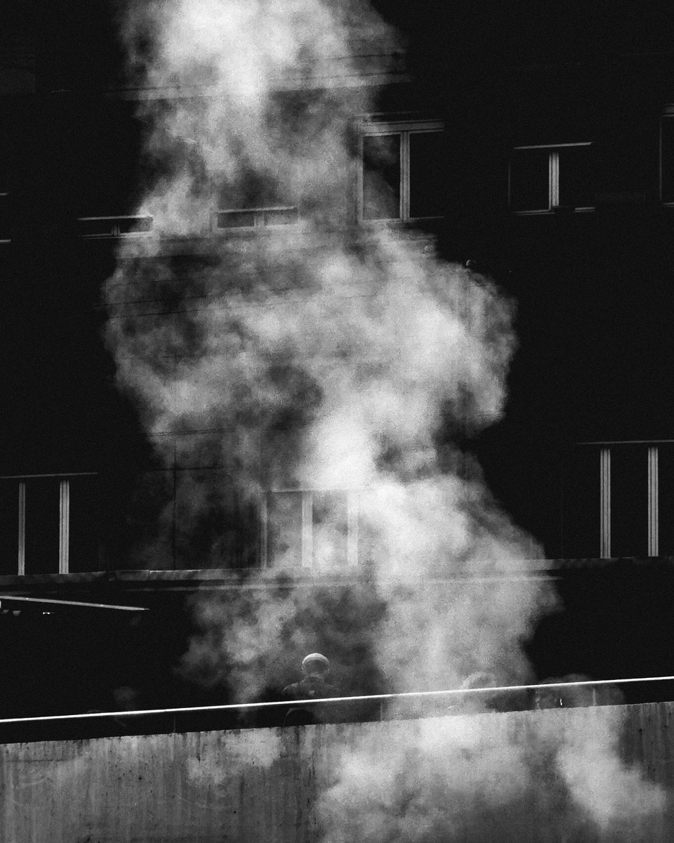 sancholito tweet media