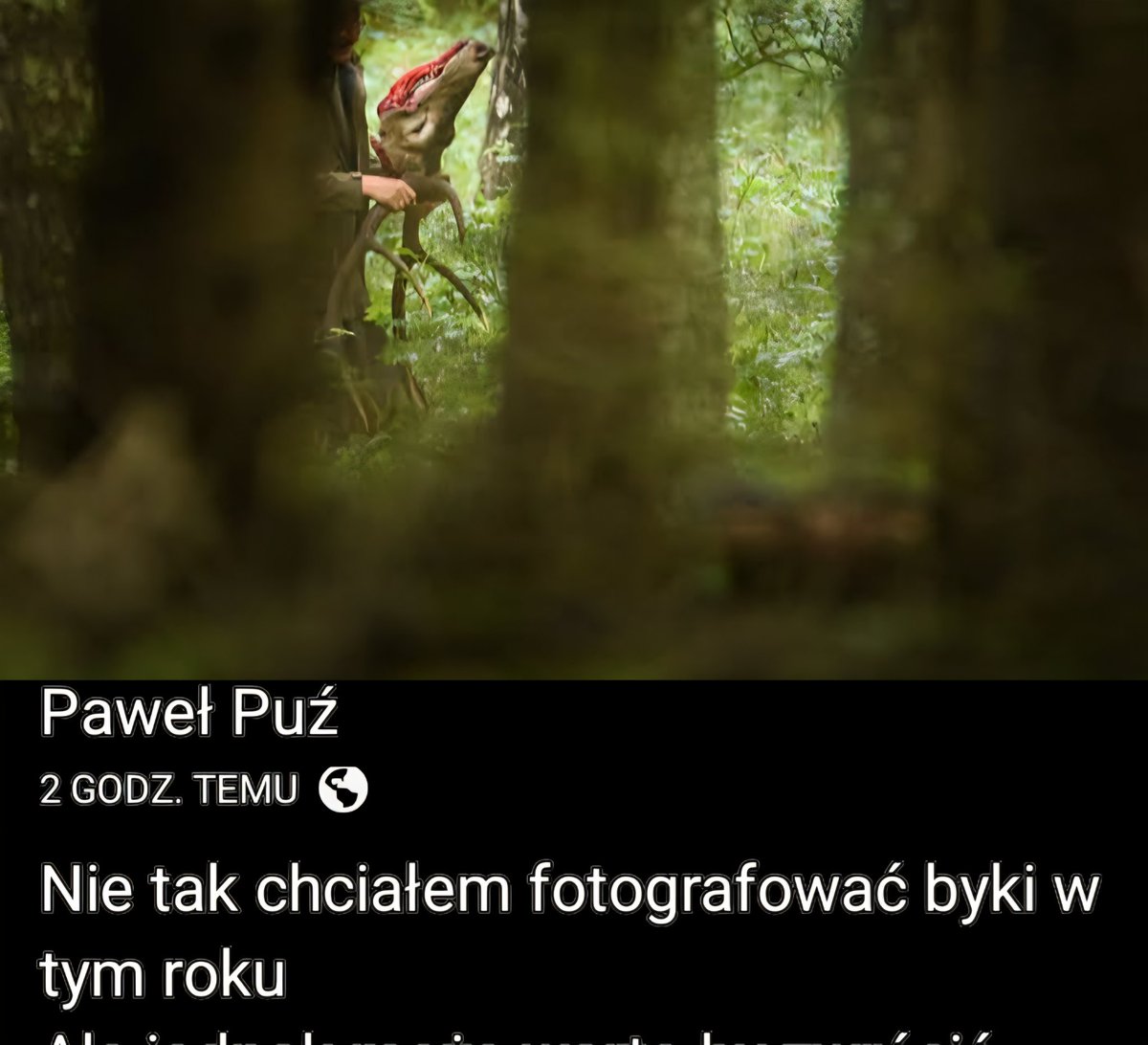 Tomekzlasu's tweet image. Zabił tylko dla Odrąbania łba jelenia. Teraz będzie dniami gotował głowę przez wiele dni w gigantycznym smrodzie truchła.  Tylko po to aby powiesić efekt swojego mordu na ścianie. Tego nie robi nikt normalny i zdrowy psychicznie.
#BanTrophyHunting
#myślistwo
#patologiałowiecka…