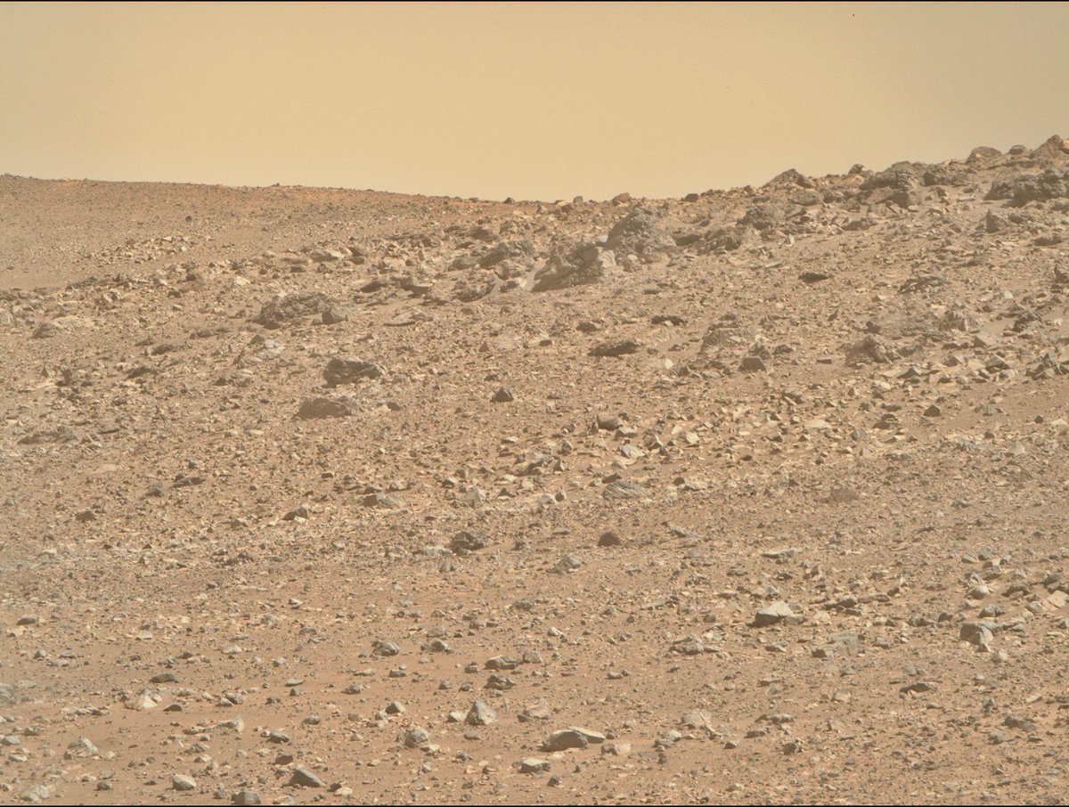 This picture was taken on Mars today.