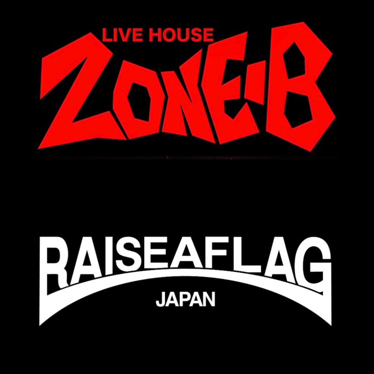 ミュージック RAISE THE FLAG Amazon.co.jp: RAISE THE FLAG(CD+DVD&DVD2枚組): ミュージック