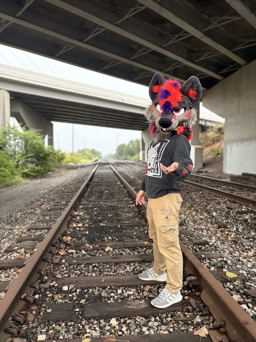 Accept his offering? 🌹✨