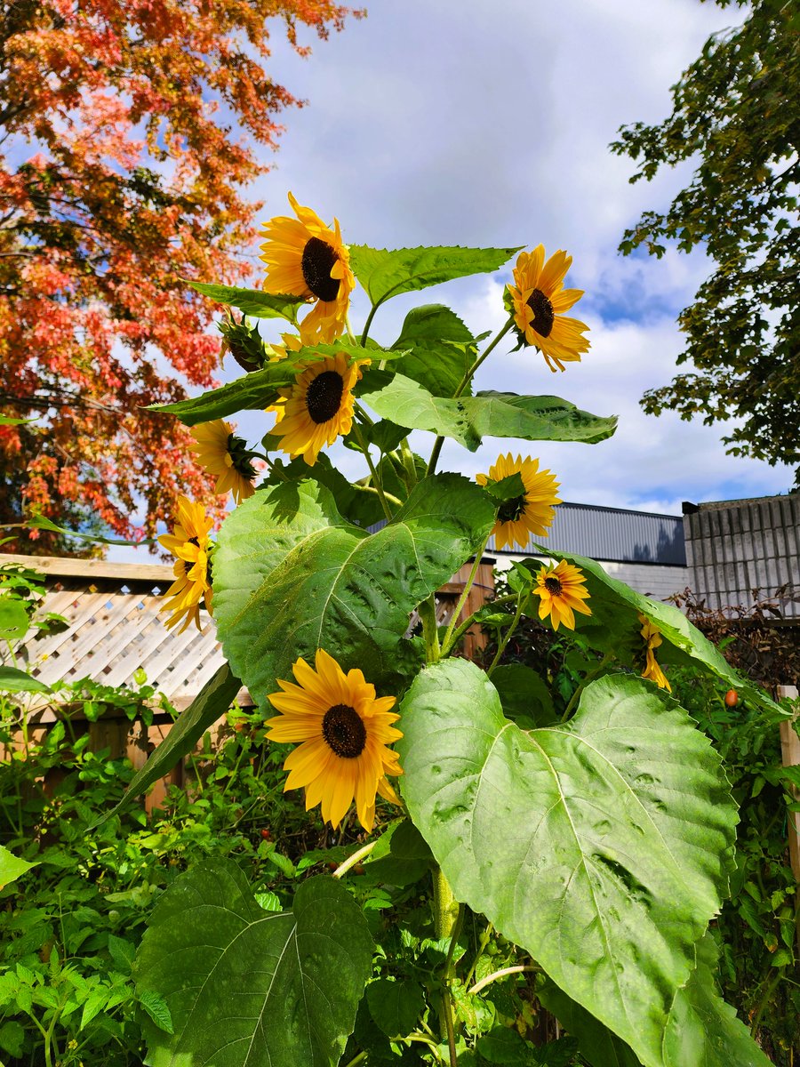 Ah, as much as travel explorations broaden your experiences, it's good to be home again!