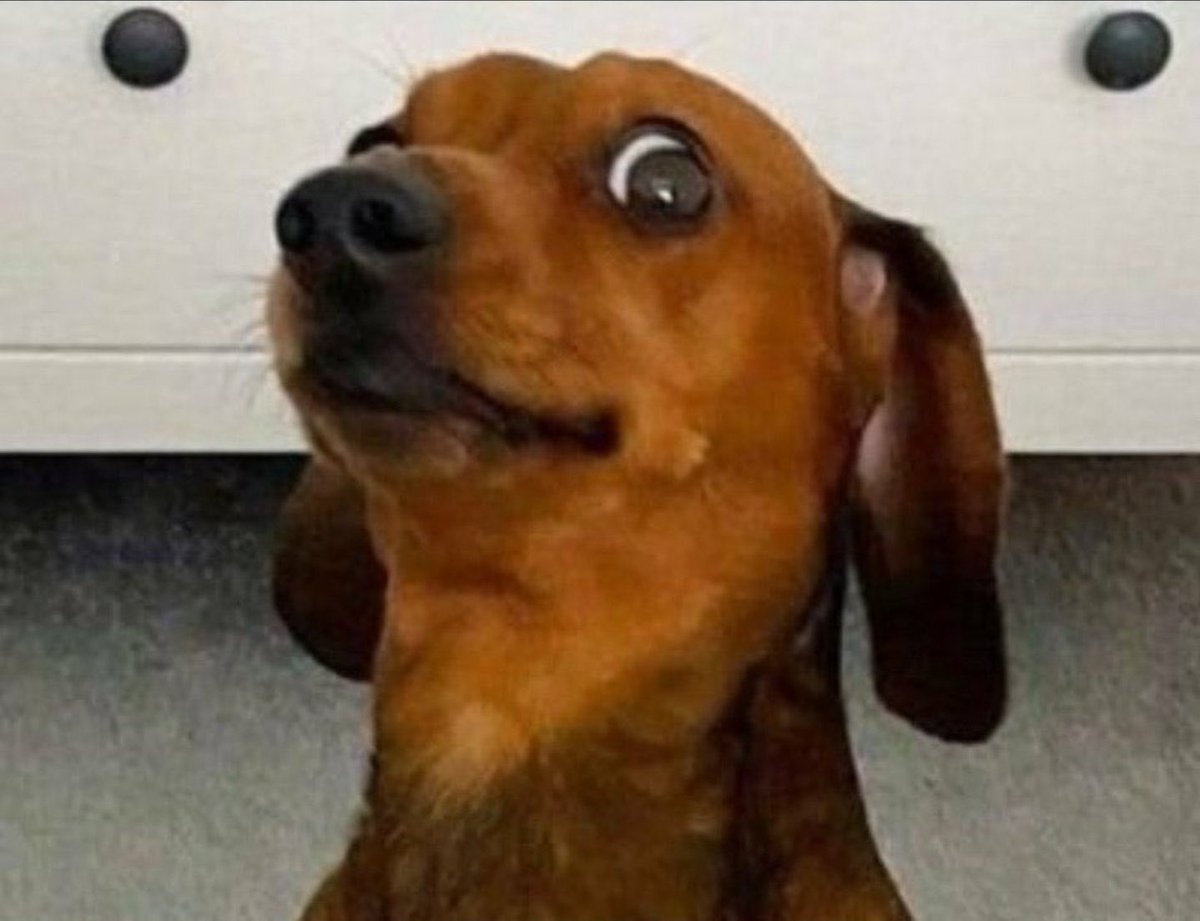 ChrisExcel102's tweet image. Buccaneers 

I’m think of getting 2 cows for Appollis and Mofokeng 

1 cow each 

What do you think …😭😭