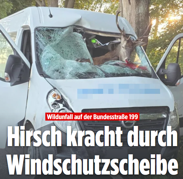 so wie das foto zeigt, muss der fahrer völlig alkoholrehsiert gewesen sein...