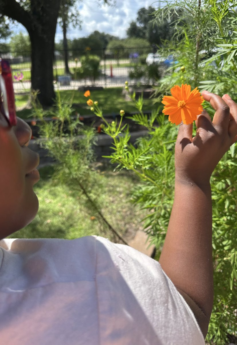 Hands-on science OUTSIDE 🦋🐞<a href="/SheridanCFISD/">Sheridan Elementary School</a> <a href="/CyFairISD/">Cypress-Fairbanks ISD</a> 🌻