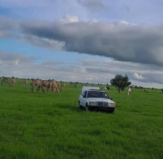 منظر جميل من ضواحي تمبدغة