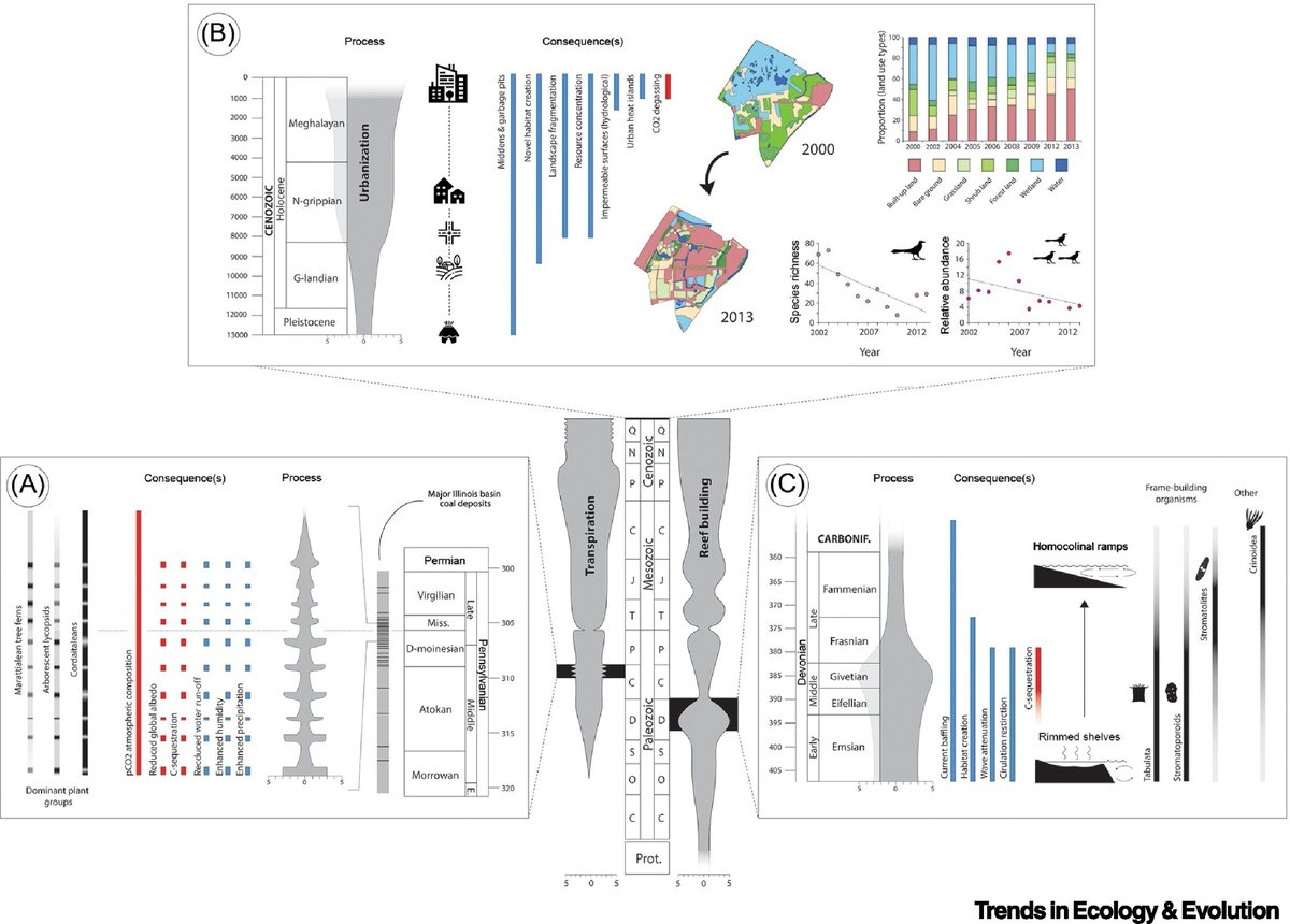 Will Gearty tweet media