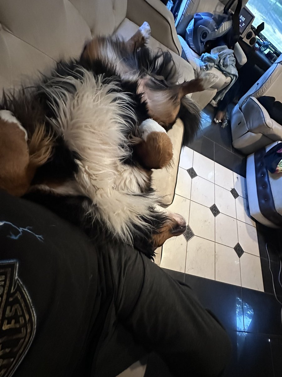 MikeChritton's tweet image. 