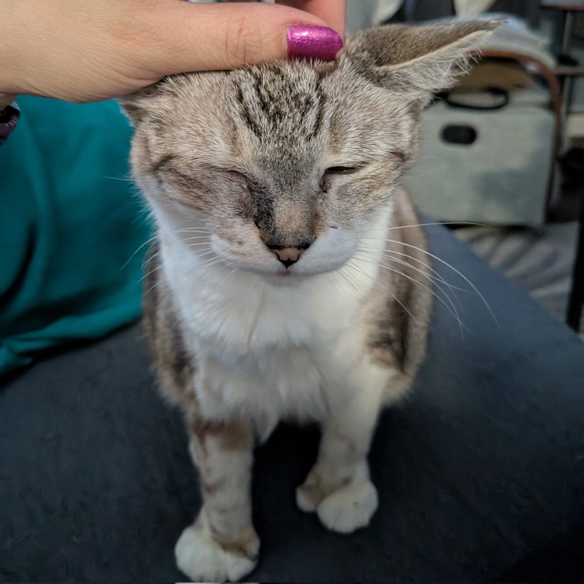 I'm like if a man was also a little guy