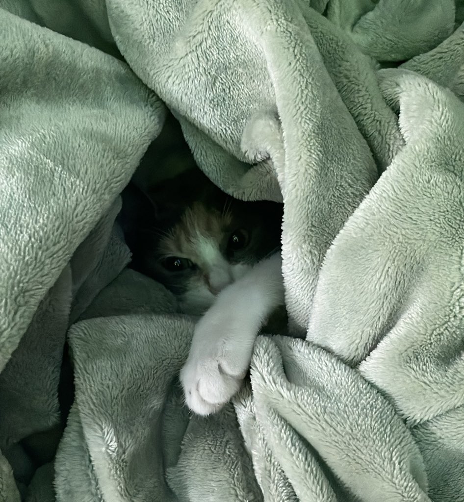 TT (@boo___o) on Twitter photo 