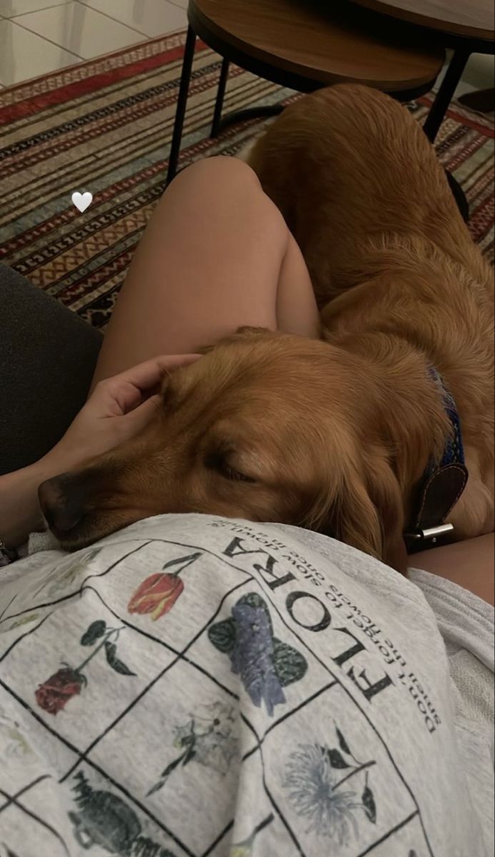 _devmilly's tweet image. 🥹🥹