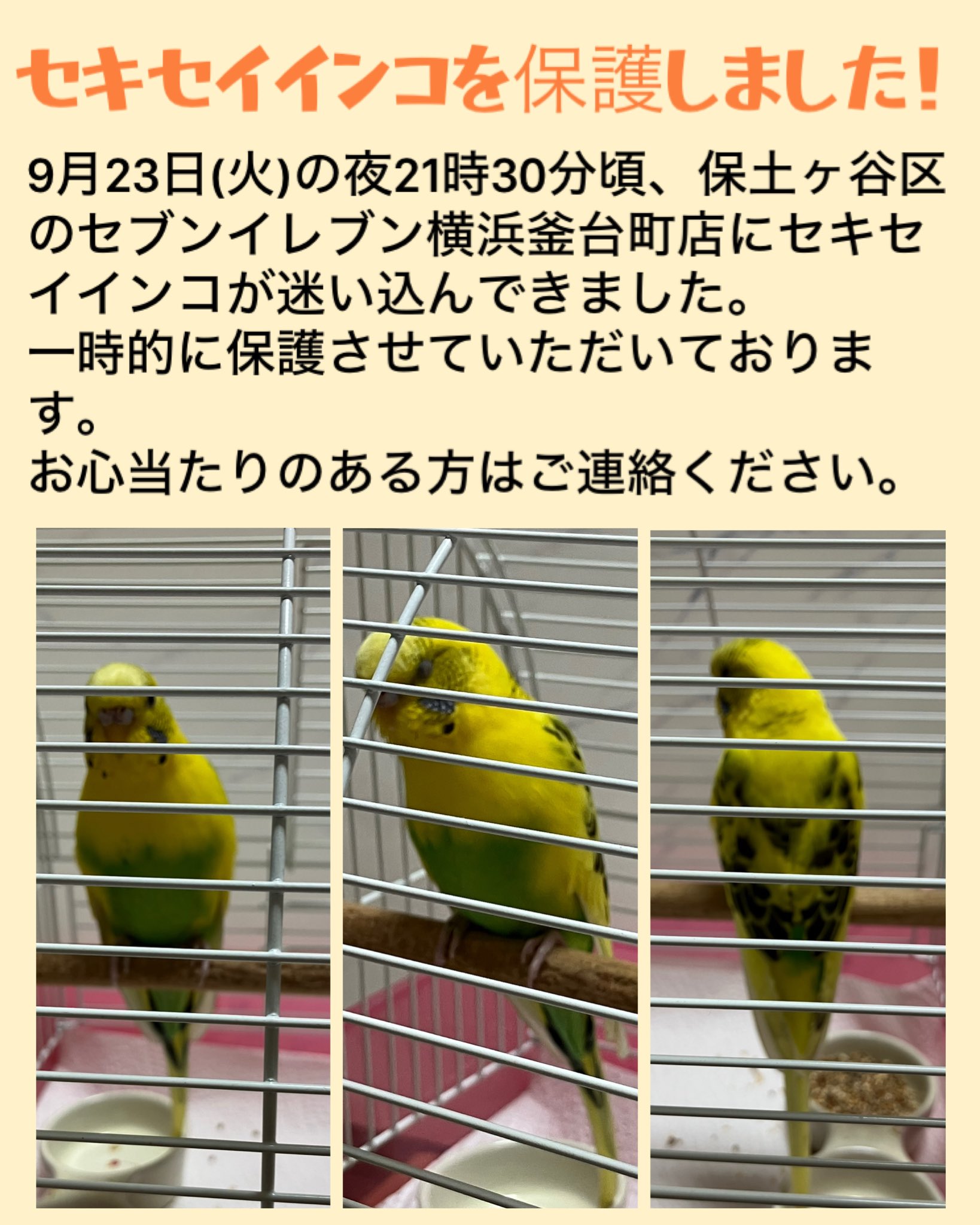 ゆうこ on X: 