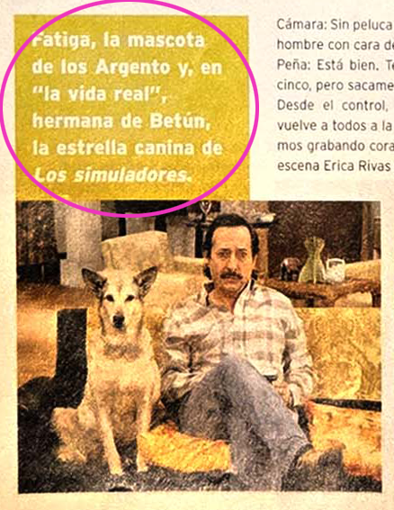 Resiste un archivo tweet media