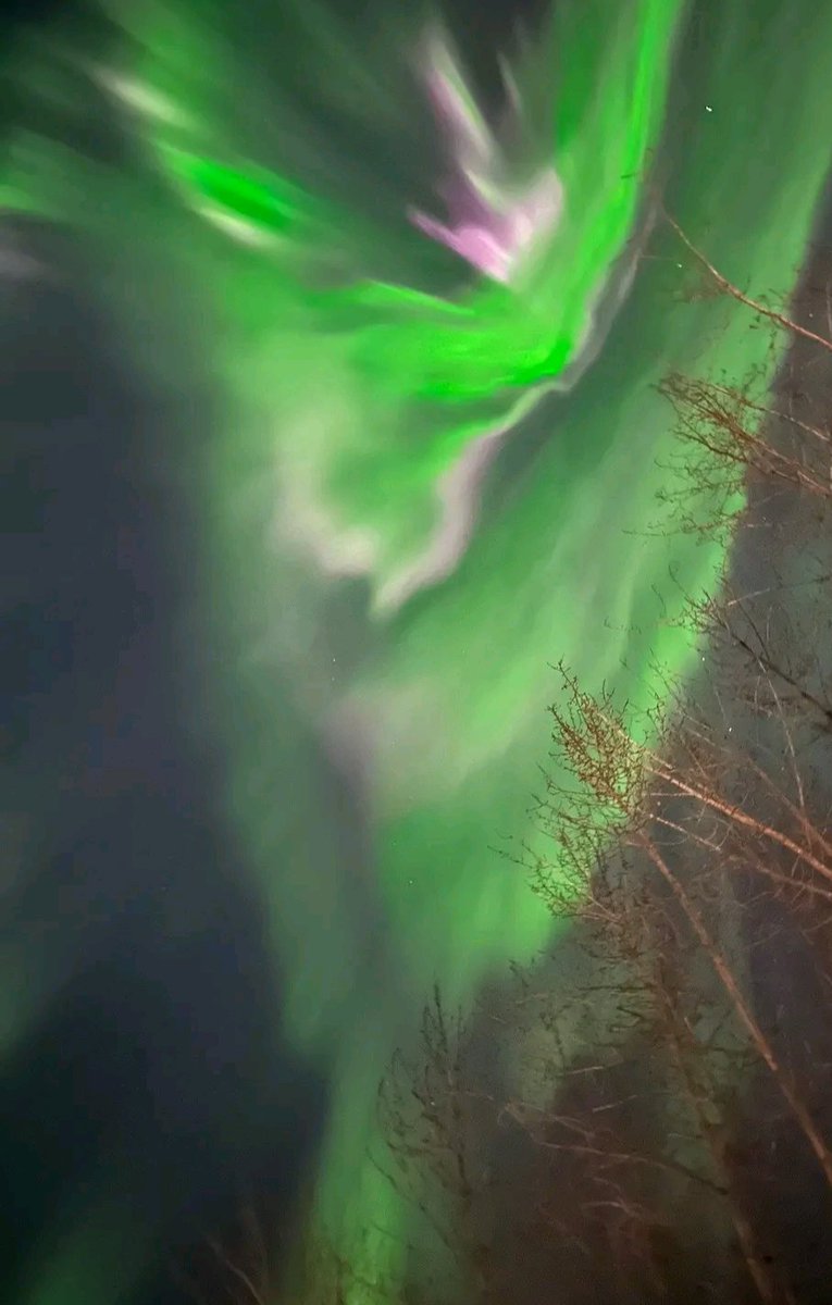 I am in awe ❤️ #northernlights
