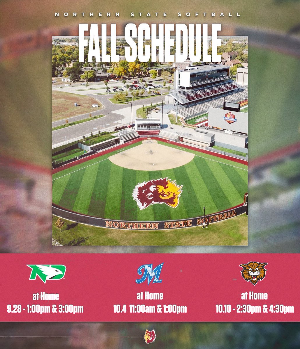 NSU Softball🥎 tweet media