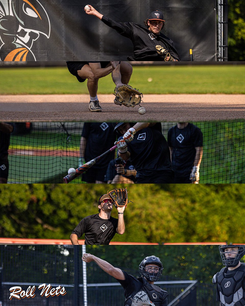Fall practice scenes. 🐝⚾️

#d3baseball // #RollNets