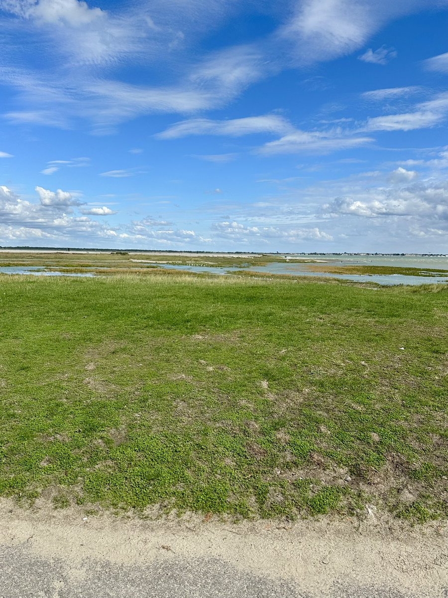 cris 59279 tweet media