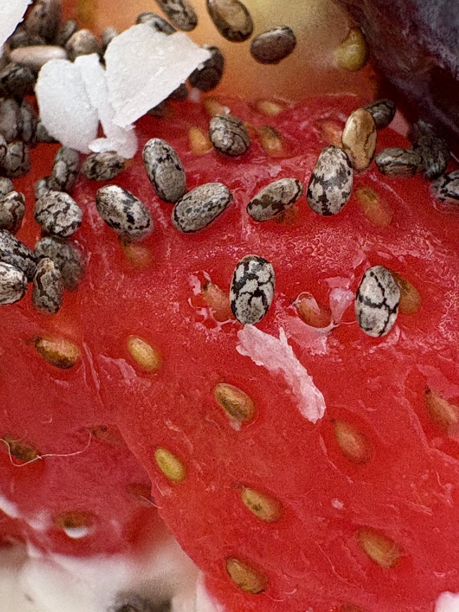 毎朝恐竜🦖の卵を🥚食べています。