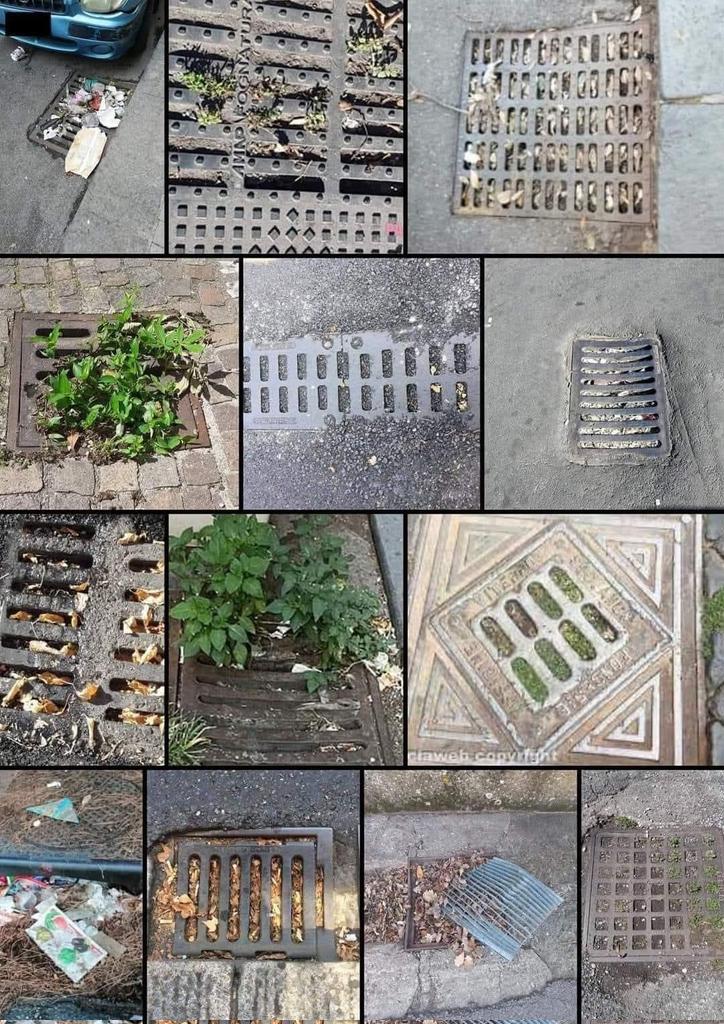 Anna 🪄⚡ tweet media