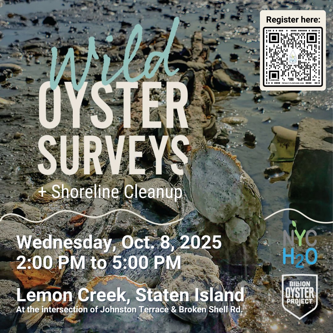 We are partnering with Billion Oyster Project for their Oyster Survey and Shoreline Cleanup on October 8th. Come out to Staten Island and join us for this awesome experience!

Register for free here: fareharbor.com/embeds/book/bi…