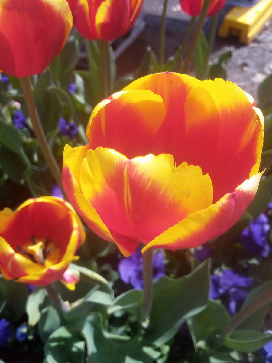 "People spend most of their lives worrying about things that never happen,"

- Moliere.