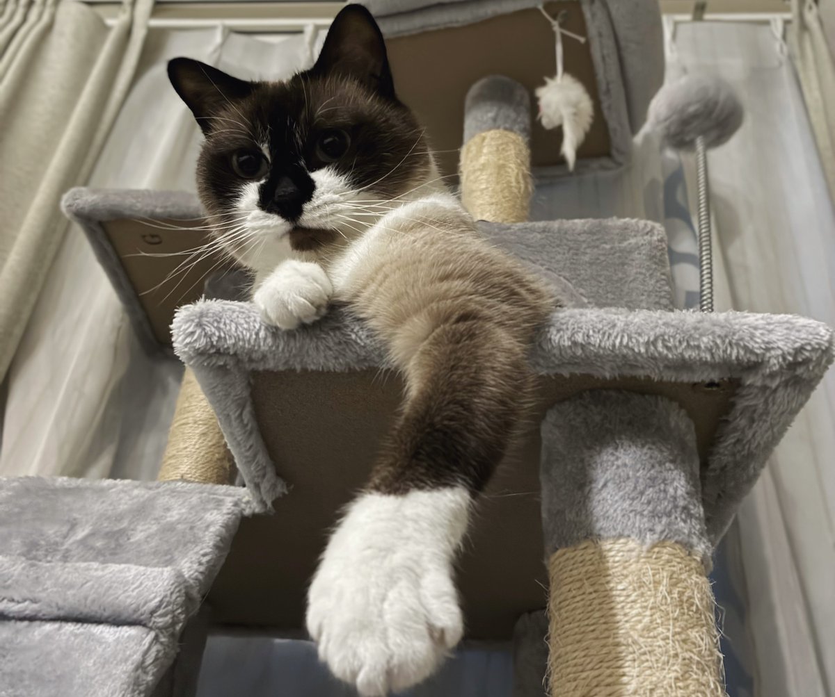 もい (@moiitter) on Twitter photo 