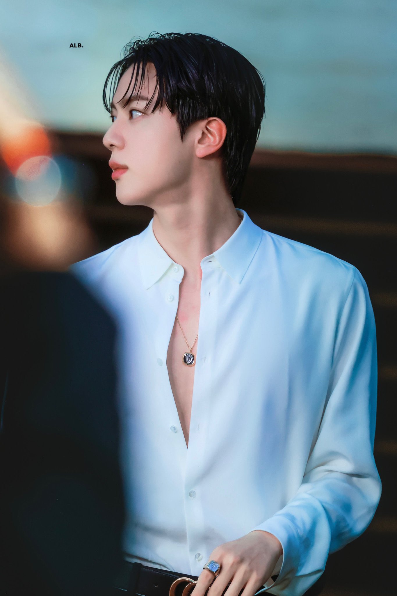 jin - Search / X