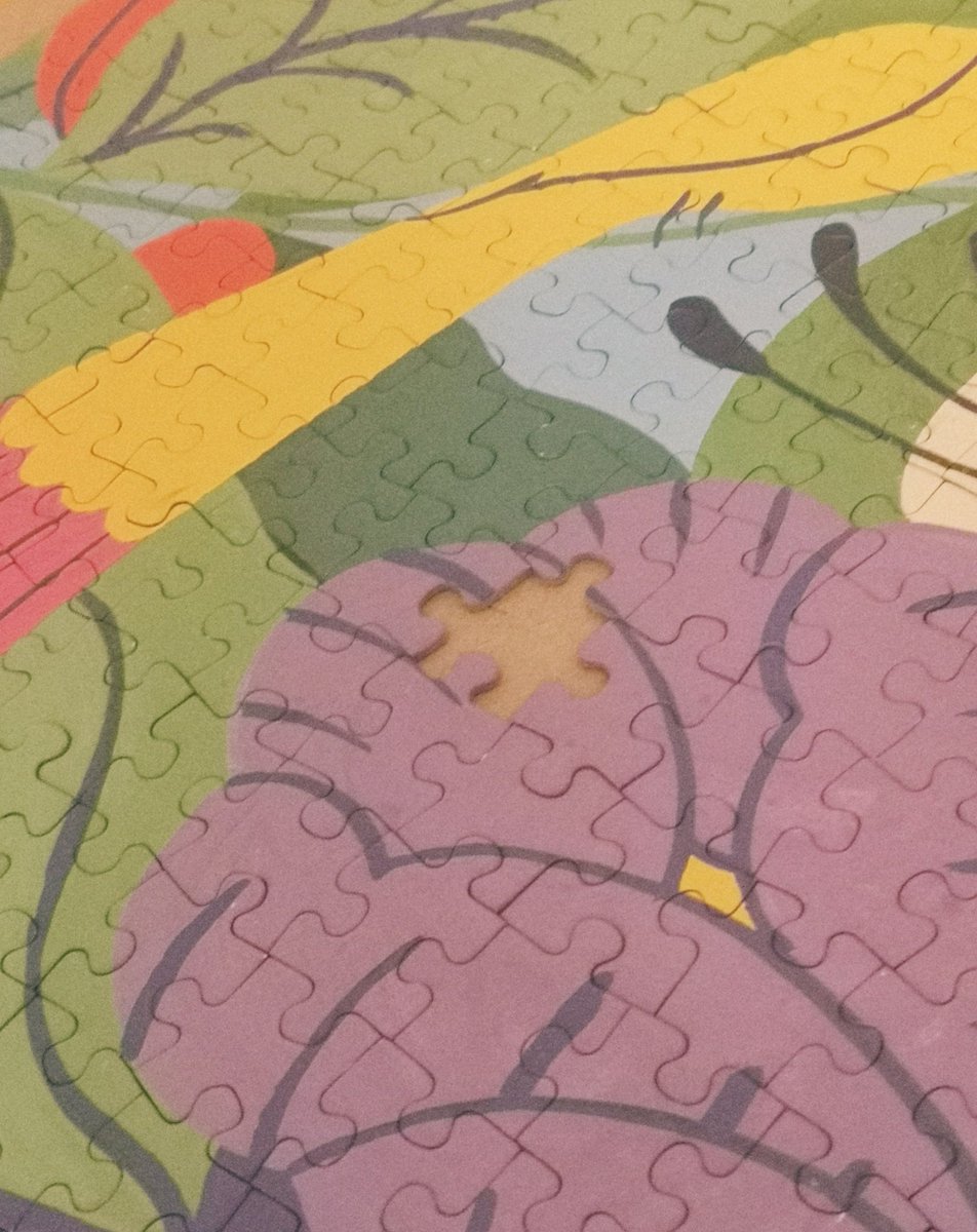 finished a 1000 pieces puzzle and guess what