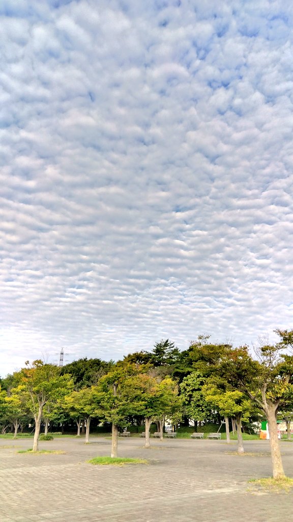 #秋の空
#今空