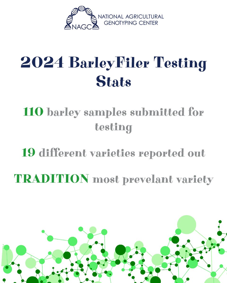 TOTMT: NAGC received 110 barley samples for variety ID testing in 2024. TRADITION was the most prevalent variety reported out, with ND GENESIS and AAC SYNERGY being just behind. #NAGCLab #WeHaveATestForThat #BarleyFiler #VarietyID #Barley