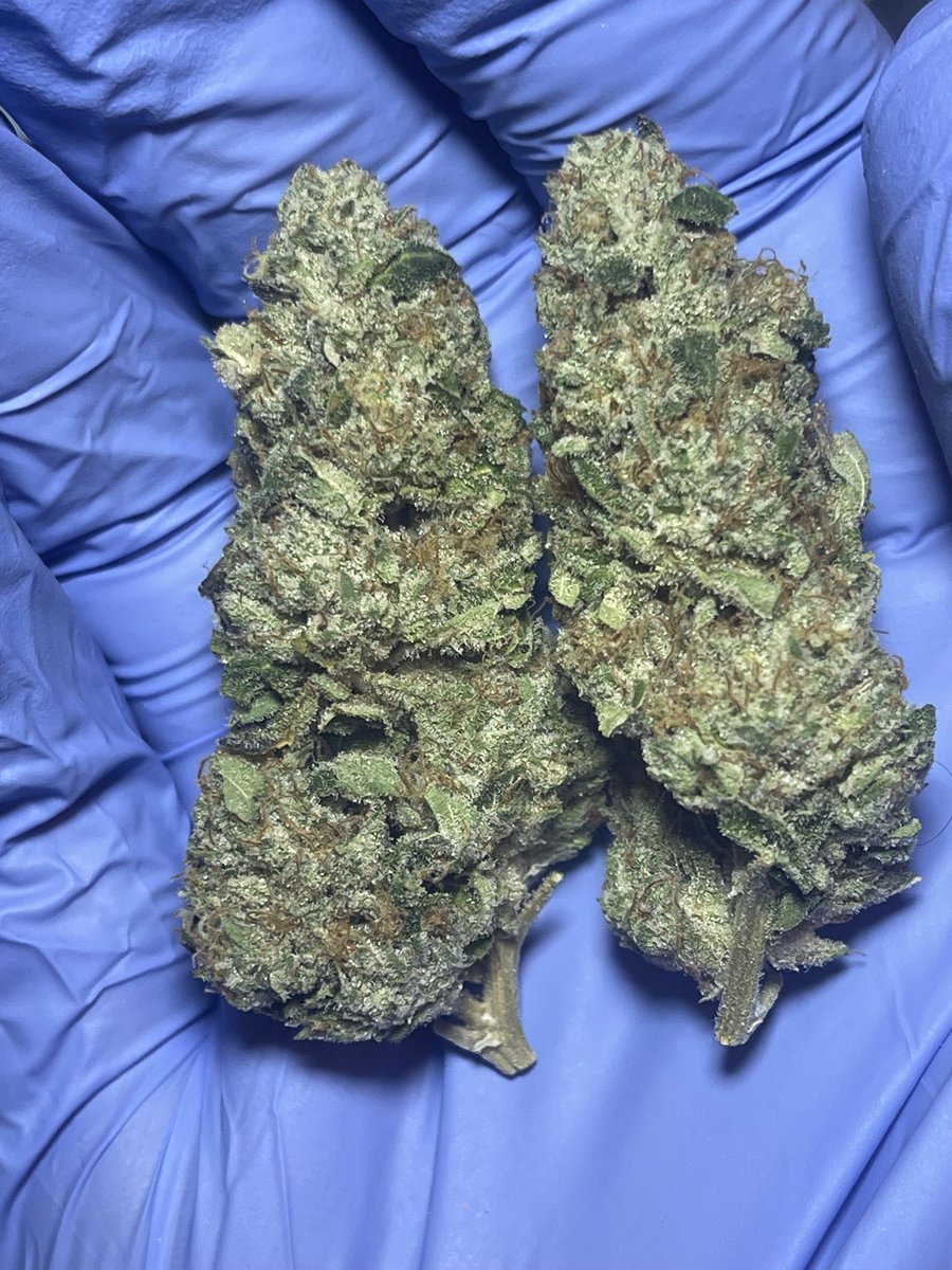The Lazy Eye Weed Guy tweet media