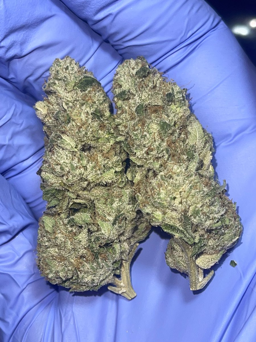 The Lazy Eye Weed Guy tweet media