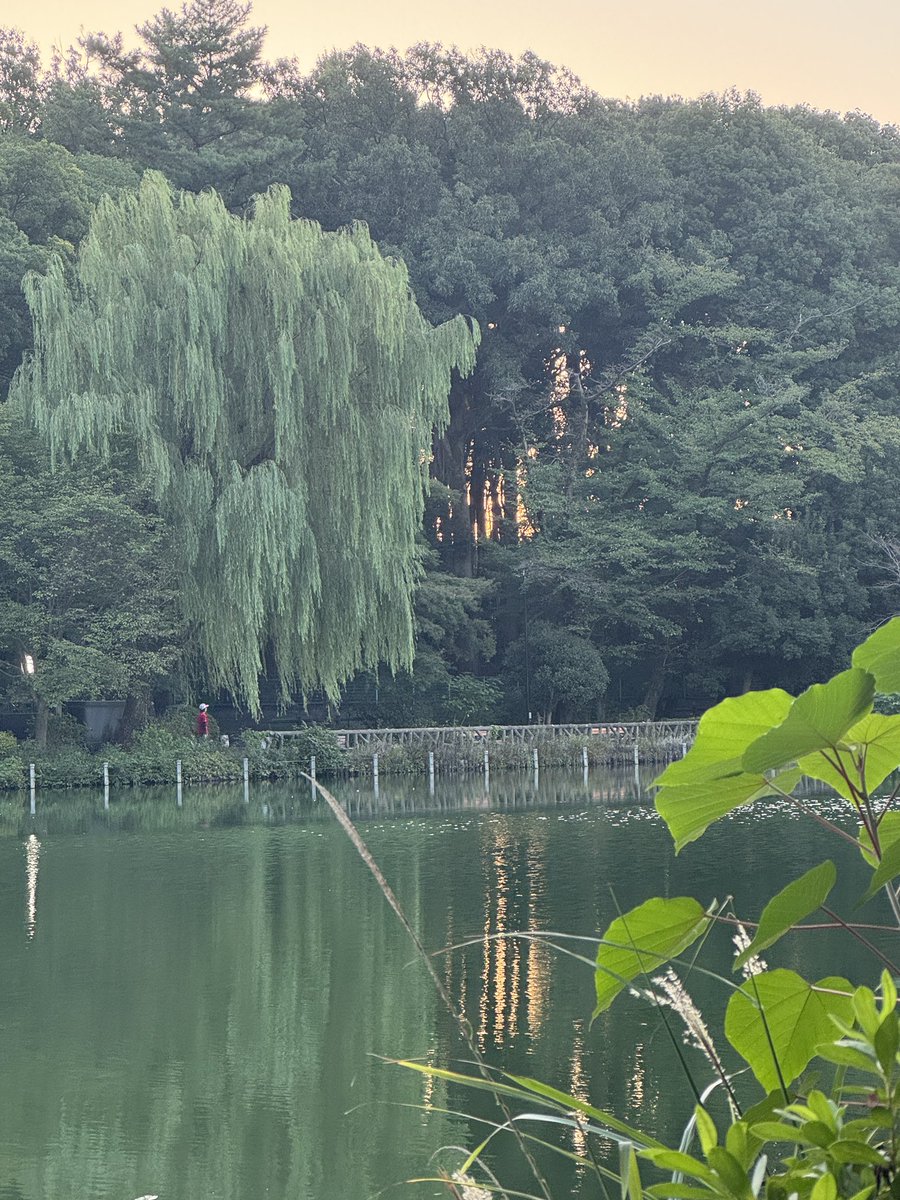 英語勉強した後は朝日を見に公園にきました🌅子ども達が起きるまでの間しかいれないけど、淹れてきたカフェオレのみながらまったり。自分が喜ぶ事をするとHappy。

9/23 英語勉強📚
2.3h

#progrit
#朝活
#英語学習
