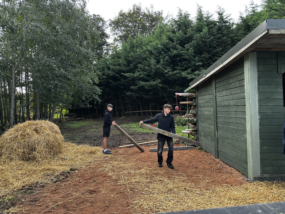 Good progress with the Donkey shelter extension! #teamalness @alnessacademy <a href="/AlnessDyw/">Alness Academy DYW</a> <a href="/AlnessArt/">Alness Academy Art Department</a> <a href="/AlnessScience/">ScienceAlness</a> <a href="/AlnessAcademy/">Alness Academy</a>PE <a href="/AlnessLanguages/">Alness Academy Languages Department</a>  <a href="/AlnessSupport/">Alness Academy student support</a> 
<a href="/MurphyGroup1951/">Murphy</a>
<a href="/hubNorthScot/">hub North Scotland</a> <a href="/kierconstruct/">Kier Construction</a> @patmunro1945 <a href="/morrisonbuilds/">Morrison Construction</a> <a href="/EcosystemsT/">Ecosystems Tech</a> <a href="/TheEDTUK/">EDT</a>