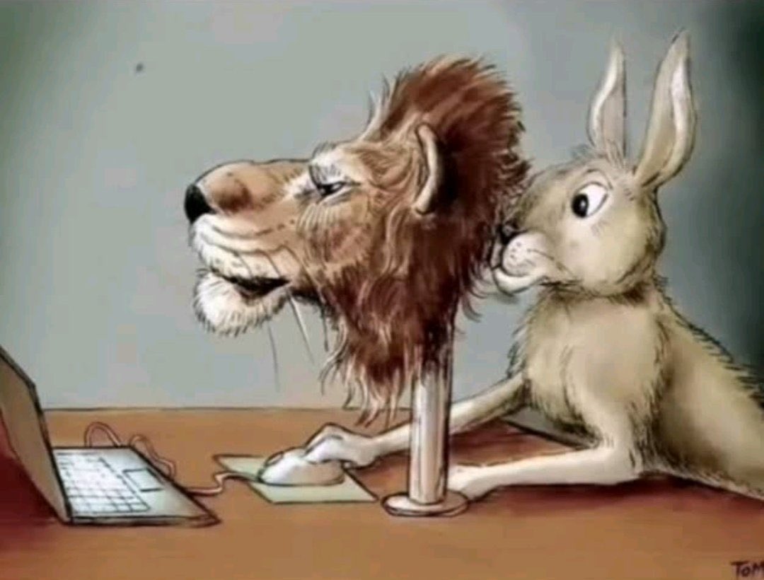 As pessoas são assim na internet.