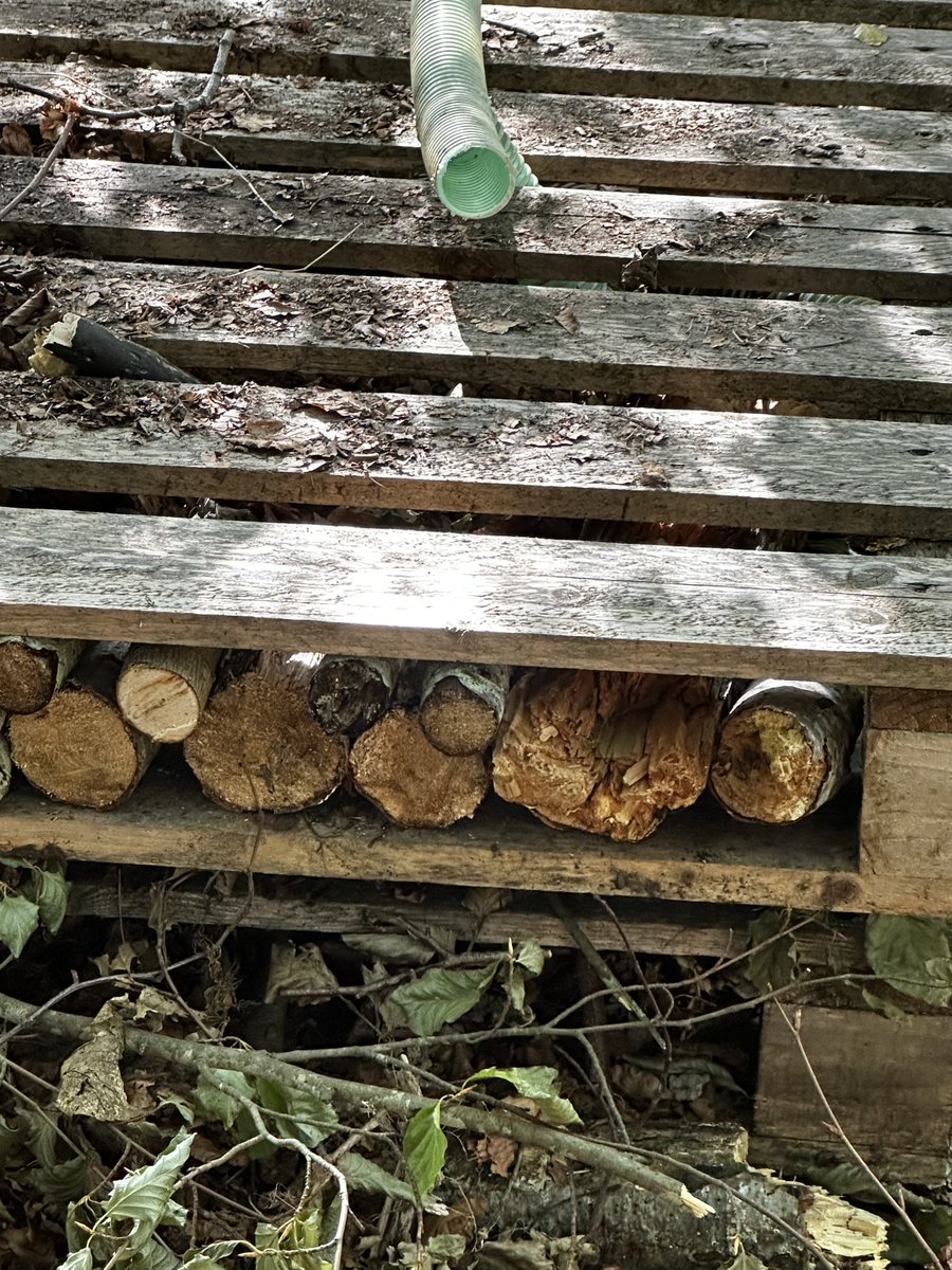 The bug hotel project is taking shape! #teamalness @alnessacademy <a href="/AlnessDyw/">Alness Academy DYW</a> <a href="/AlnessArt/">Alness Academy Art Department</a> <a href="/AlnessScience/">ScienceAlness</a> <a href="/AlnessAcademy/">Alness Academy</a>PE <a href="/AlnessLanguages/">Alness Academy Languages Department</a>  <a href="/AlnessSupport/">Alness Academy student support</a> 
<a href="/MurphyGroup1951/">Murphy</a>
<a href="/hubNorthScot/">hub North Scotland</a> <a href="/kierconstruct/">Kier Construction</a> @patmunro1945 <a href="/morrisonbuilds/">Morrison Construction</a> <a href="/EcosystemsT/">Ecosystems Tech</a> <a href="/TheEDTUK/">EDT</a>