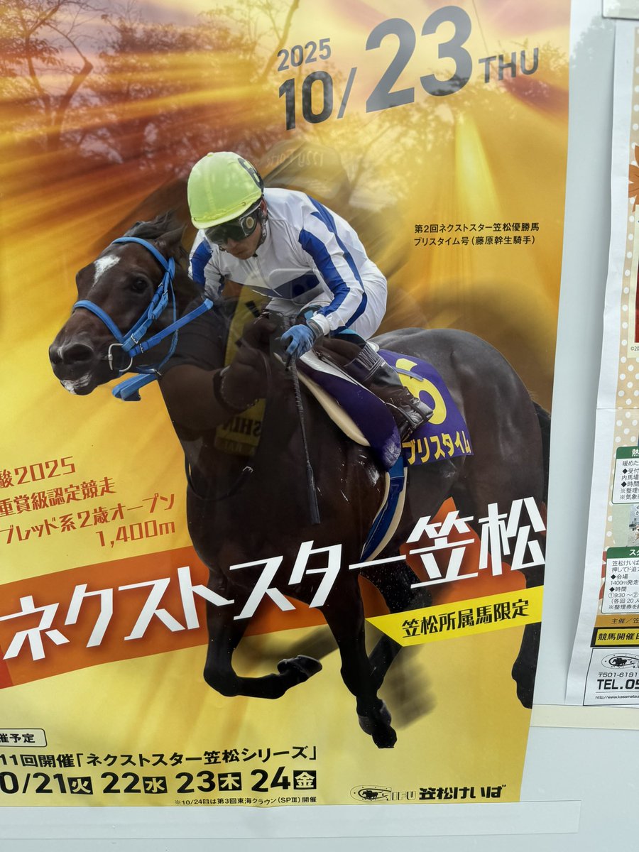 白青菊花@競馬とウマ娘V on X: 