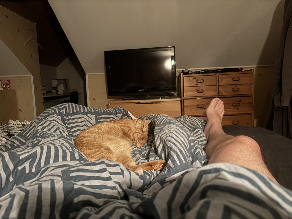 När jag vaknar så här, då vet jag att det är kallt ute. 😁