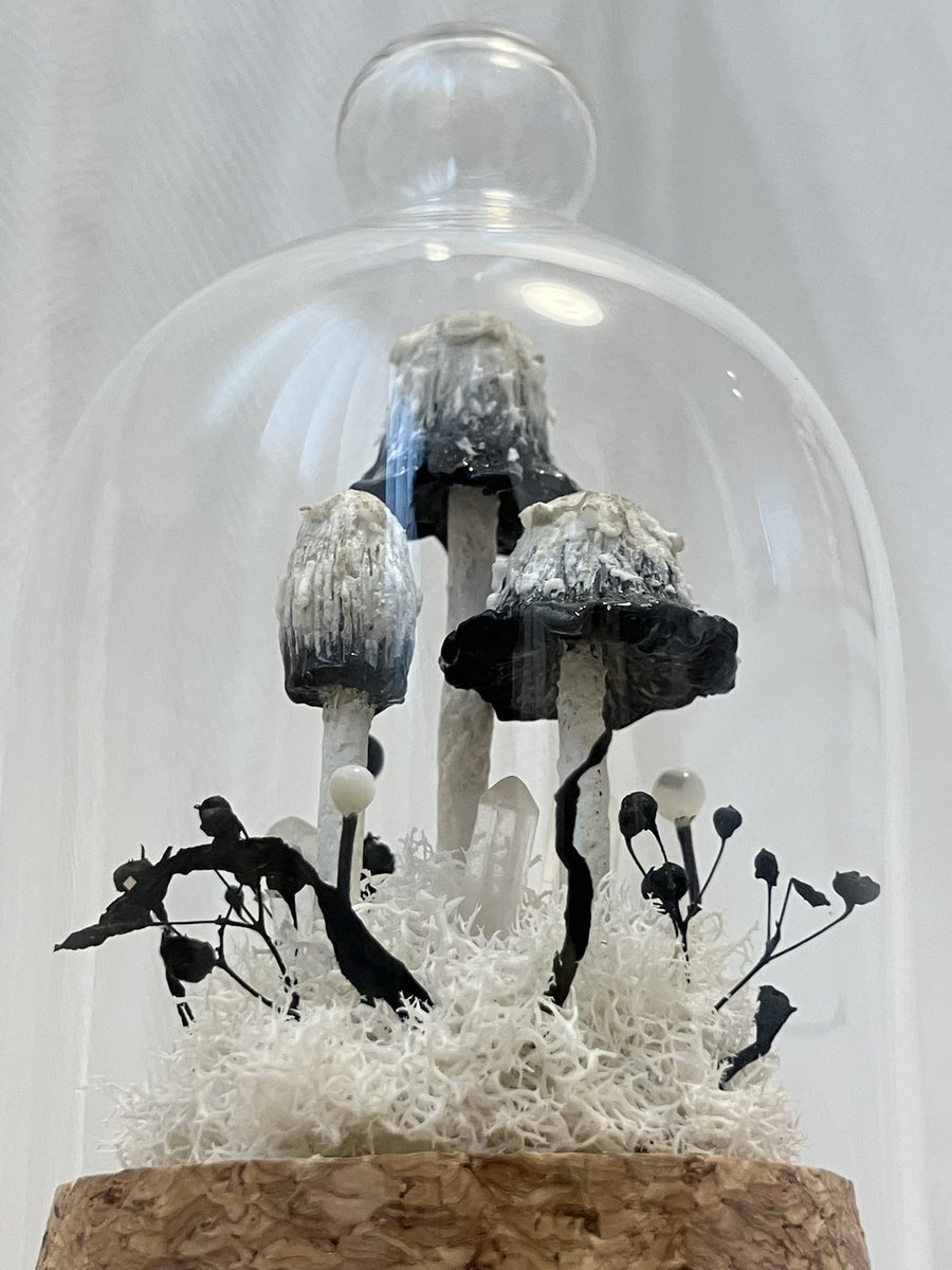 ドールサイズぷちきのこ　ササクレヒトヨタケ

溶け出した傘のふちがお気に入りです。
モノトーンでパキッと仕上げてみたのですが、ハロウィンっぽくかっこよくなりました🎃
私のササクレヒトヨタケ愛が爆発しております。