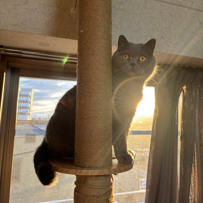 楽しかった 𝑳𝑶𝑽𝑬 