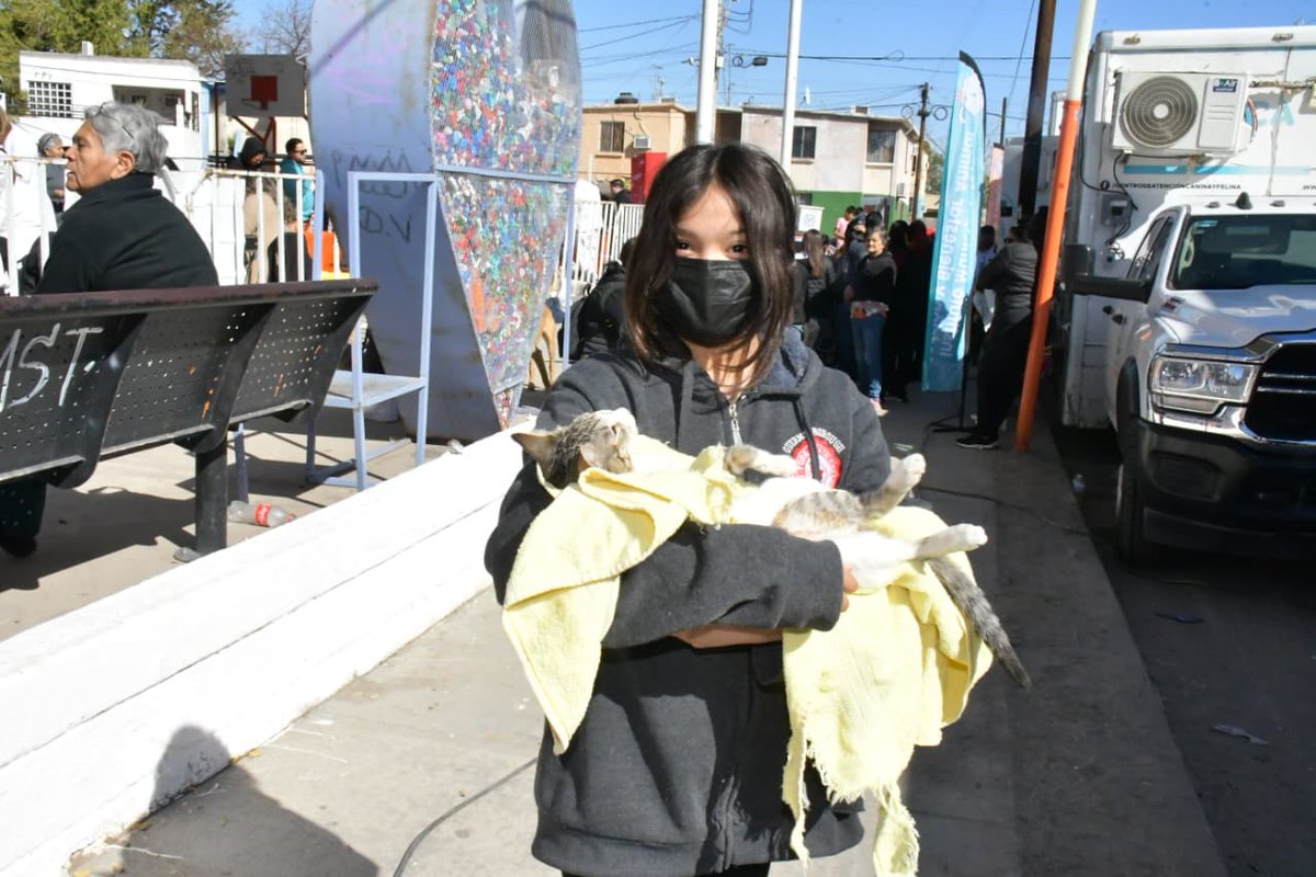 Del 24 al 27 de septiembre, Hermosillo tendrá campañas gratuitas de esterilización canina y felina 
<a href="/HermosilloGob/">Gobierno de Hermosillo</a> <a href="/tonoastiazaran/">Antonio Astiazarán</a> <a href="/PalafoxDavid/">David Palafox</a> <a href="/hoyosjorge01/">Jorge Manuel Hoyos</a> #Hermosillo 
elportaldelagente.mx/2025/09/del-24…