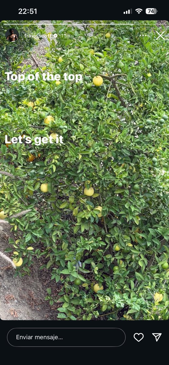 q sube este mogolico