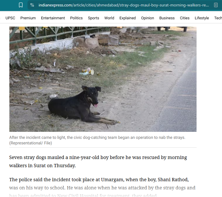 Travels Kunal (@travelskunal) on Twitter photo Stray dogs maul 9-yr-old boy on way to school, rescued by morning walkers
Source: Indian Express
#straydogsmenace, #straydogsfreeindia ,#dogs_attack,#city,#asia, Stray dogs maul 9-yr-old boy on way to school, rescued by morning walkers
Source: Indian Express
#straydogsmenace, #straydogsfreeindia ,#dogs_attack,#city,#asia,