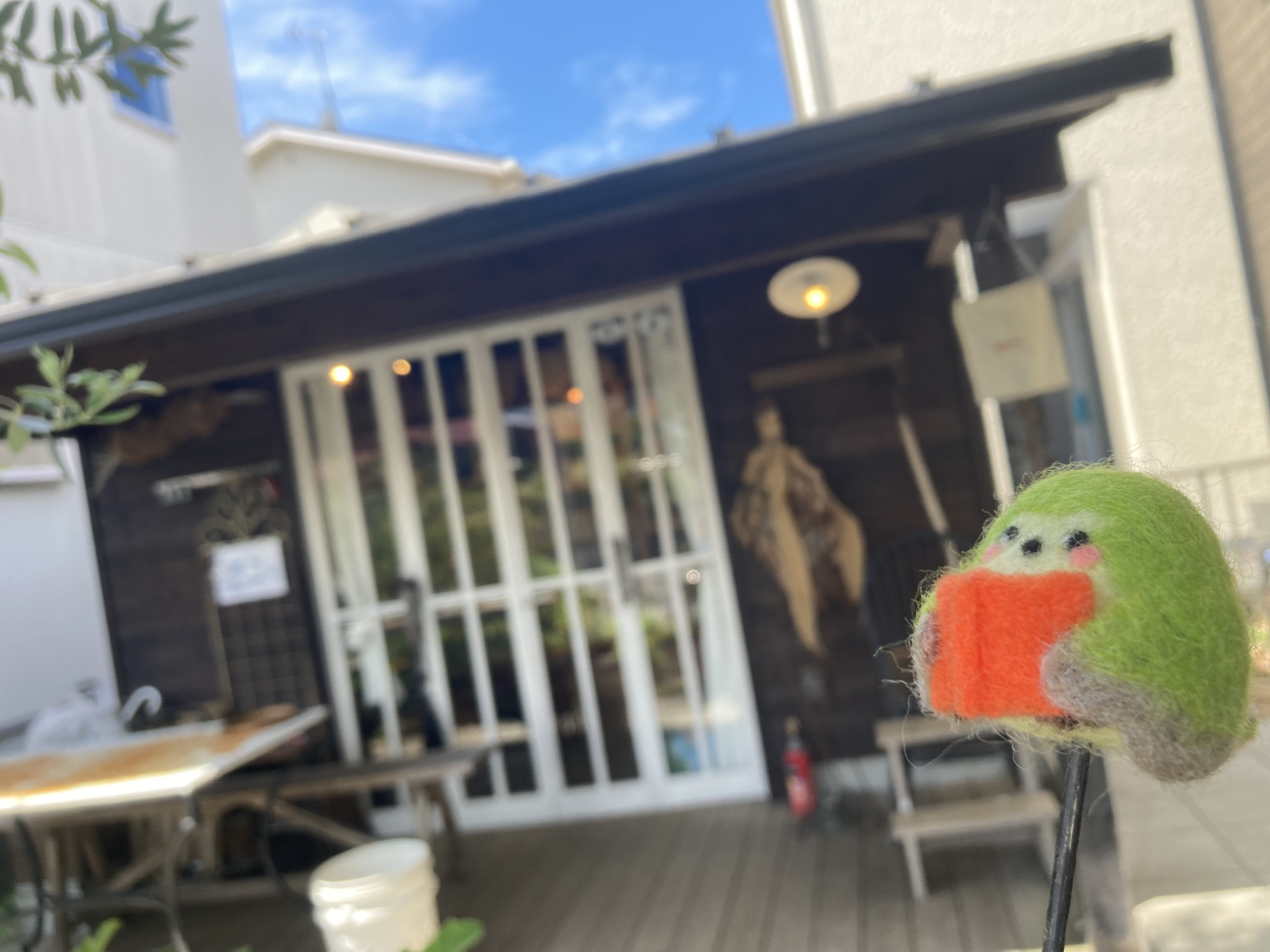 しあわせをよぶ小さな庭　ピゲ作　旺文社ジュニア図書館 Amazon.co.jp: しあわせをよぶ小さな庭 (旺文社ジュニア図書館